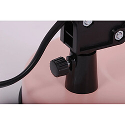 Avis Lampe de bureau métal articulée Cosmo rose/noir E27 Kaja