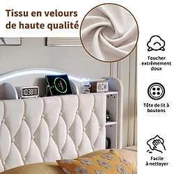 Avis Lit Double -Superaly-lit 140x190cm - Lit Coffre Hydraulique - LED Et USB - Velours - Beige