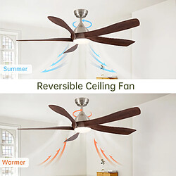 Ventilateur