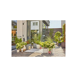 Acheter Système de goutte-à-goutte Gardena 13400-20 Kit pour Débutants (30 Plantes) Noir