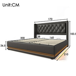 Acheter STILVORA Lit double 160/200 cm noir en PU avec LED USB Type-C et rangement