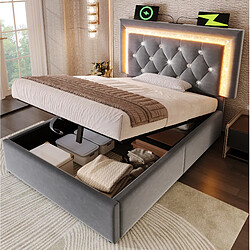 Avis STILVORA Lit simple rembourré 90/200 cm gris en velours avec LED tête de lit réglable et coffre
