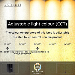 Acheter Lucide Lampadaire LED sans fil minimaliste café-noir IP44 3W, variateur tactile, 3000-6000K