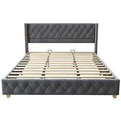 Acheter STILVORA Lit rembourré 180/200 cm gris en velours avec tête de lit capitonnée