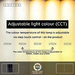 Avis Lucide Lampadaire Ortolan - Beige