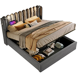 STILVORA Lit double 160/200 cm gris en velours avec rangement USB et liseuse