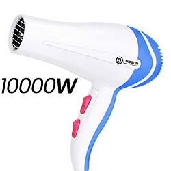Avizar Sèche-Cheveux Performant 1000W avec Embout Concentrateur et Moteur DC Blanc / Bleu pas cher