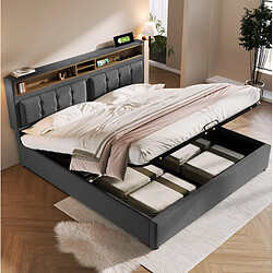 Avis STILVORA Lit double 140/200 cm gris en lin avec rangement et tête de lit réglable