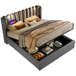 STILVORA Lit double 160/200 cm gris en velours avec rangement USB et liseuse
