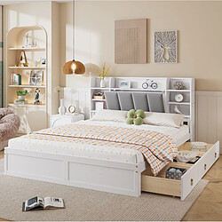 Acheter STILVORA Lit double 160/200 cm blanc et gris en pin et MDF avec 3 tiroirs