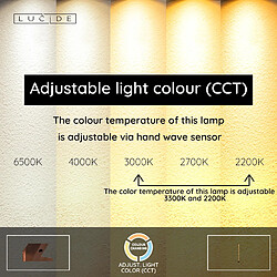 Acheter Lucide Lampadaire LED Janderin - Or