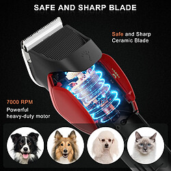 Acheter Tondeuse pour chiens SK-1821 HATTEKER tondeuse pour chiens et chats, avec ciseaux et peigne