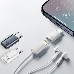 Acheter INF Adaptateur Lightning Femelle vers USB-C Mâle en Aluminium - Écouteurs HiFi Grey
