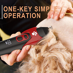 Avis Tondeuse pour chiens SK-1821 HATTEKER tondeuse pour chiens et chats, avec ciseaux et peigne