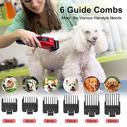 Acheter Tondeuse pour animaux HATTEKER kit toilettage pour chiens à 3 vitesses et silencieux
