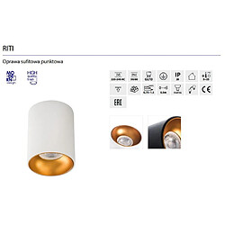 Kanlux Spot Riti 27571 - Or pas cher