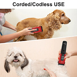 Avis Tondeuse pour animaux HATTEKER kit toilettage pour chiens à 3 vitesses et silencieux