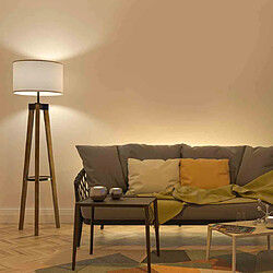 Avis Ampoule LED 9W E27 blanc chaud 3000K Eko-Light EK8048