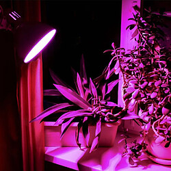 Ampoule LED