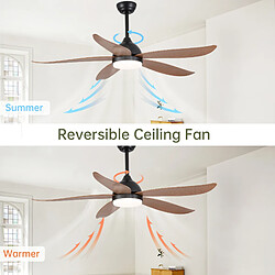 Ventilateur