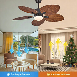 Ventilateur