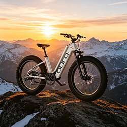 Avis Vélo électrique Autonomie 96km Batterie 52V15Ah Shimano 7 vitesses Freins hydrauliques
