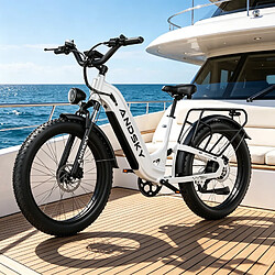 Acheter Vélo électrique Autonomie 120km Batterie 48V 20Ah Shimano 7 vitesses Pneus 26x4.0 50km/h