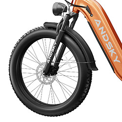 Vélo électrique Autonomie 120km Batterie 48V 20Ah Shimano 7 vitesses Pneus 26x4.0 50km/h pas cher