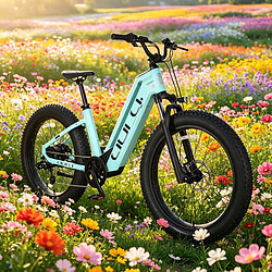 Vélo électrique