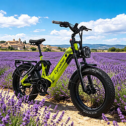 Cyrusher Vélo électrique Batterie 52V20Ah Shimano 8V Autonomie 110km Freins hydrauliques 250W pas cher