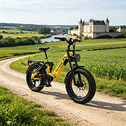 Avis Cyrusher Vélo électrique Batterie 52V20Ah Shimano 8V Autonomie 110km Freins hydrauliques 250W