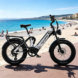 Vélo électrique