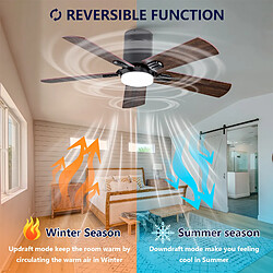 Acheter DZMDIP Ventilateur plafonnier LED 107 cm, télécommande, 6 vitesses,3 couleurs,moteur DC silencieux