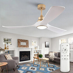 Ventilateur