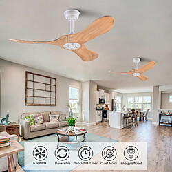Acheter DZMDIP Ventilateur plafond 107 cm avec moteur DC silencieux et mémoire