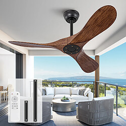 Ventilateur