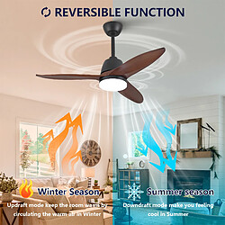 Acheter DZMDIP Ventilateur de plafond LED 107 cm avec 3 températures de couleur et 6 vitesses,noyer foncé