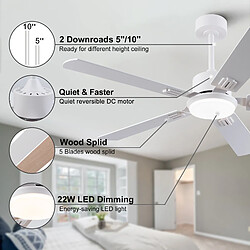 Acheter DZMDIP Ventilateur de plafond LED 132 cm télécommande moteur DC silencieux 6 vitesses réversible