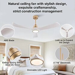 Acheter DZMDIP Ventilateur plafond LED 132 cm avec moteur DC réversible, 6 vitesses, 3 couleur et mémoire