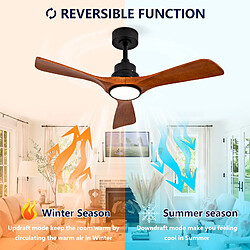 Acheter DZMDIP Ventilateur plafond LED 107 cm DC réversible avec télécommande et mémoire