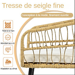 Acheter ByteLike Ensemble de jardin 5 pièces en rotin