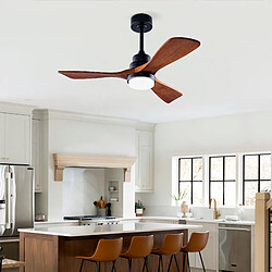 Ventilateur