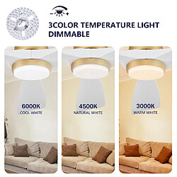Avis DZMDIP Ventilateur plafond LED 132 cm avec télécommande et moteur DC silencieux, doré et blanc