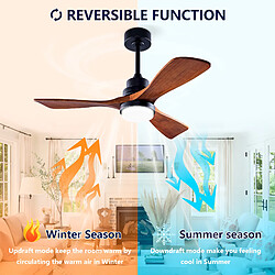 Acheter DZMDIP Ventilateur plafond LED 107 cm avec télécommande et moteur DC silencieux, noyer foncé