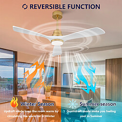 Acheter DZMDIP Ventilateur plafond LED 132 cm avec télécommande et moteur DC silencieux, doré et blanc