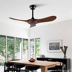 Ventilateur