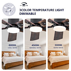 Avis DZMDIP Ventilateur plafonnier LED 107 cm, télécommande, 6 vitesses,3 couleurs,moteur DC silencieux