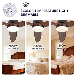 Avis DZMDIP Ventilateur de plafond LED 183 cm avec 3 températures de couleur et 6 vitesses,noyer foncé