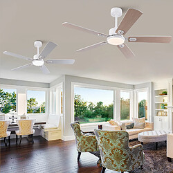 Ventilateur