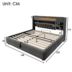 Acheter STILVORA Lit rembourré 140/200 cm gris aus lin avec LED et ports USB